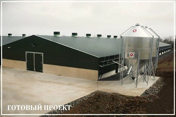 Этапы возведения птицефабрики от завода ВелесТент-ксм